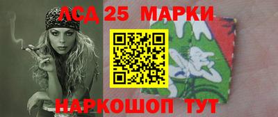 гашик Кандалакша