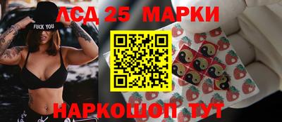 спиды Камышлов