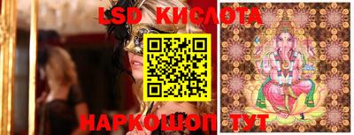гашик Кандалакша