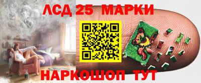 спиды Камышлов