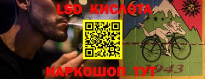 спиды Камышлов