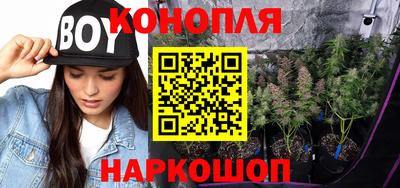 гашик Канаш