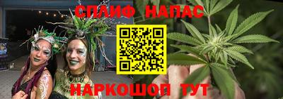 спиды Камышлов