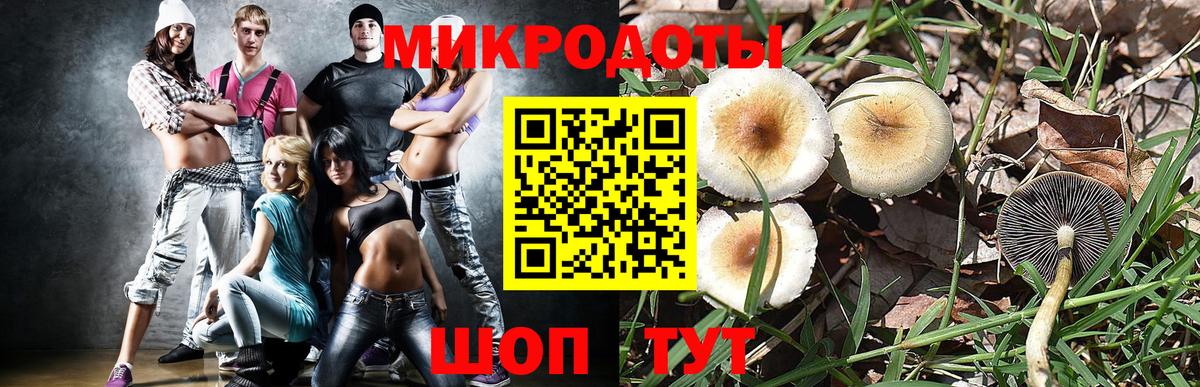 Кудрово  Галлюциногенные грибы мухоморы  Псилоцибиновые грибы GOLDEN TEACHER  Вход с VPN 
