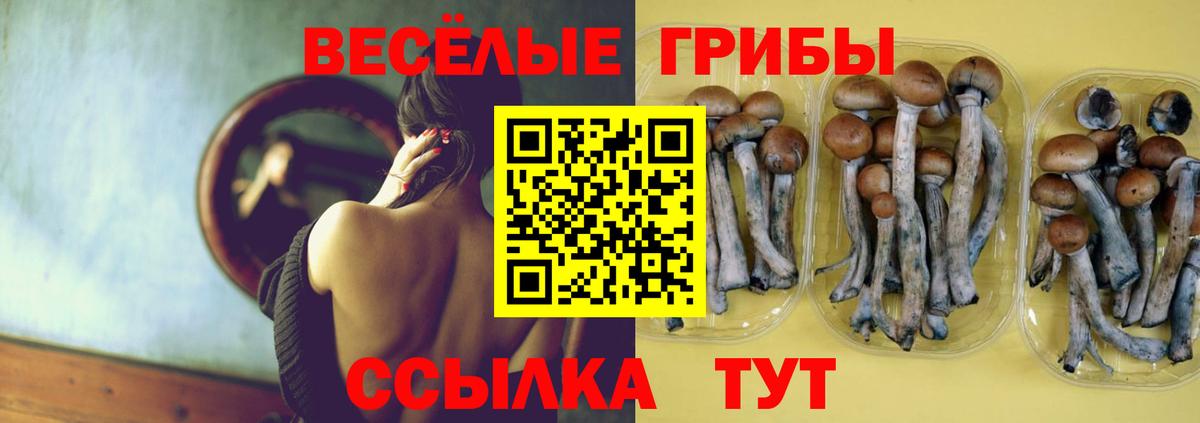 Псилоцибиновые грибы Magic Shrooms Кудрово